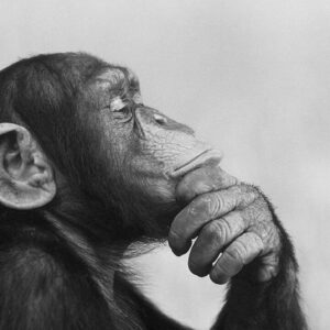 Как настроиться на творчество и находить на него время в повседневной суете